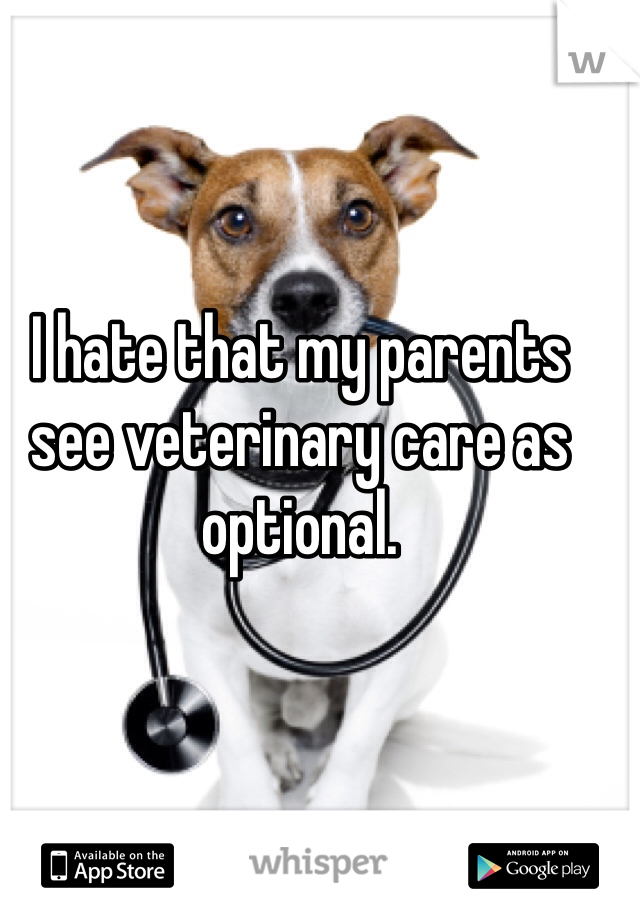 I hate that my parents see veterinary care as optional.