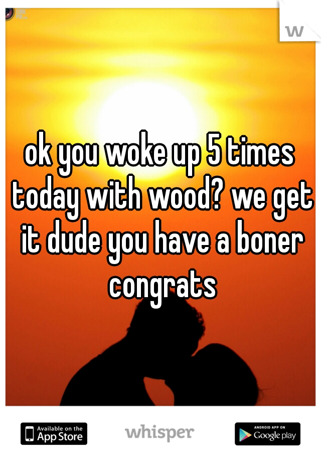 ok you woke up 5 times today with wood? we get it dude you have a boner congrats