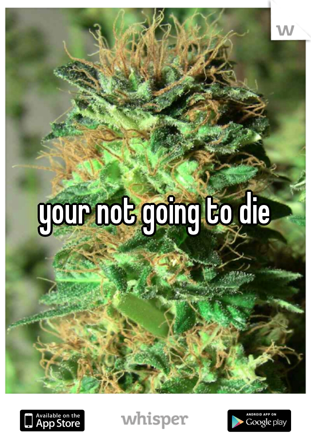 your not going to die