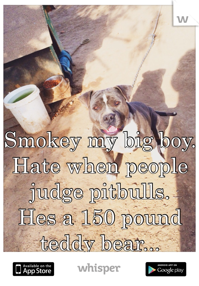 Smokey my big boy.
Hate when people judge pitbulls.
Hes a 150 pound teddy bear...
My teddy bear.❤️