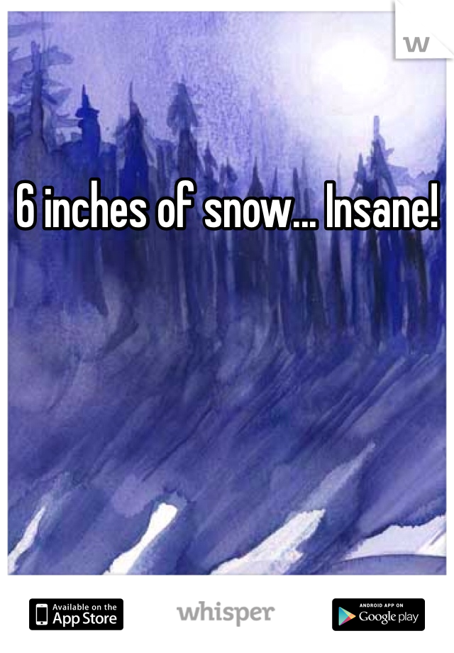 6 inches of snow... Insane!
