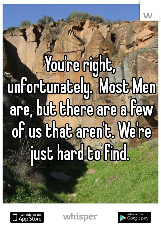 You're right, unfortunately.  Most Men are, but there are a few of us that aren't. We're just hard to find. 