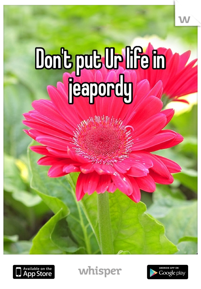 Don't put Ur life in jeapordy