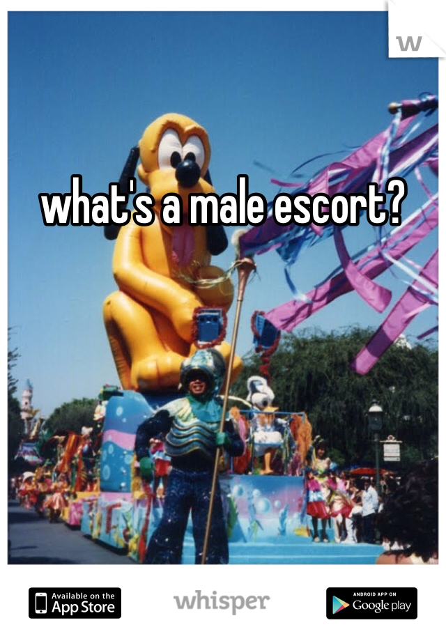 what's a male escort?