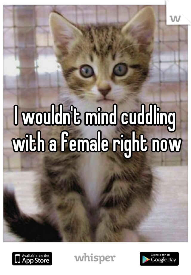 I wouldn't mind cuddling with a female right now