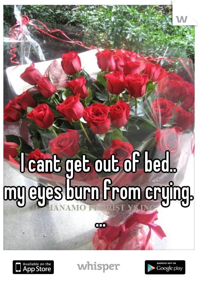 I cant get out of bed..
my eyes burn from crying. ...