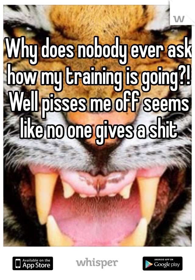 Why does nobody ever ask how my training is going?! Well pisses me off seems like no one gives a shit