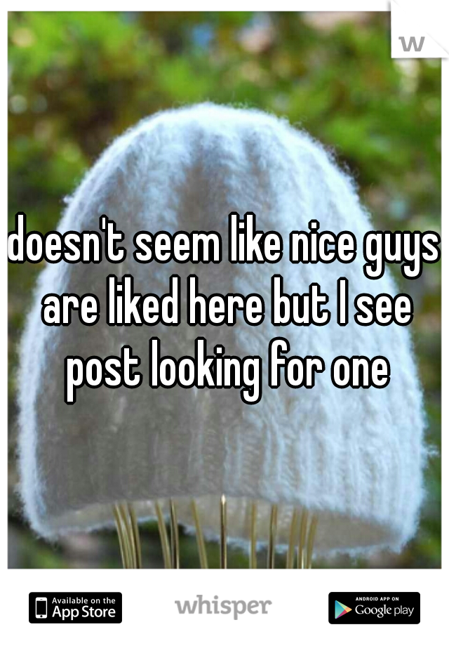 doesn't seem like nice guys are liked here but I see post looking for one