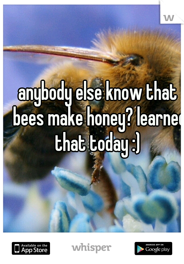 anybody else know that bees make honey? learned that today :) 