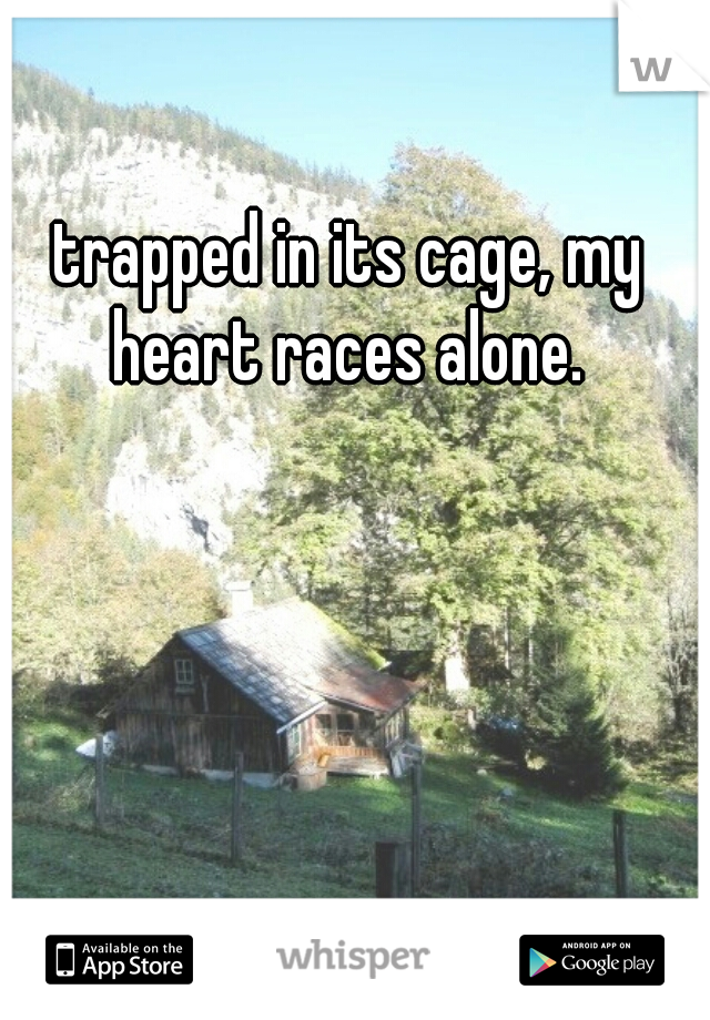 trapped in its cage, my heart races alone. 