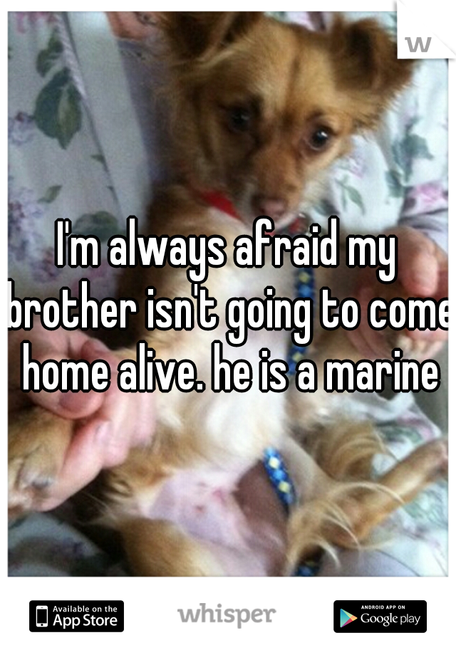 I'm always afraid my brother isn't going to come home alive. he is a marine