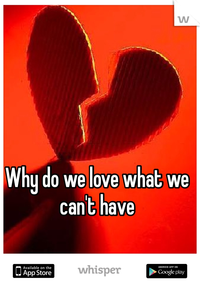Why do we love what we can't have 