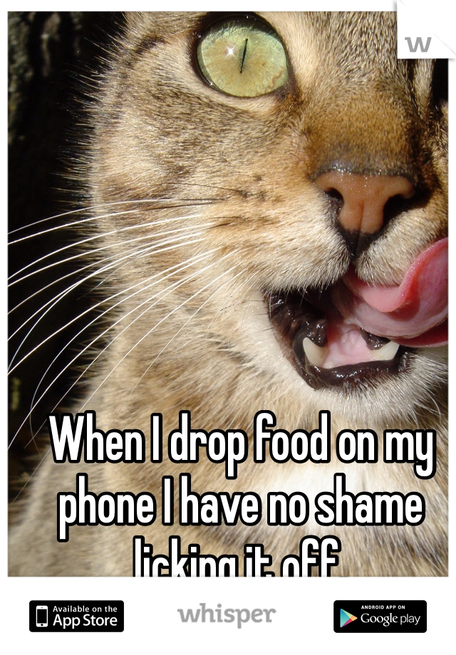 When I drop food on my phone I have no shame licking it off. 