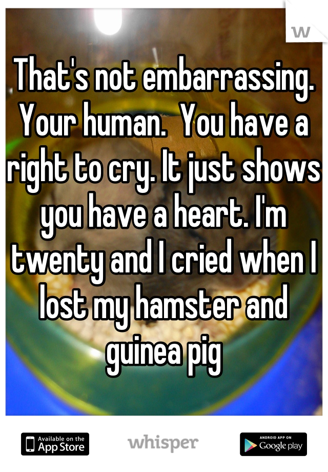 That's not embarrassing. Your human.  You have a right to cry. It just shows you have a heart. I'm twenty and I cried when I lost my hamster and guinea pig