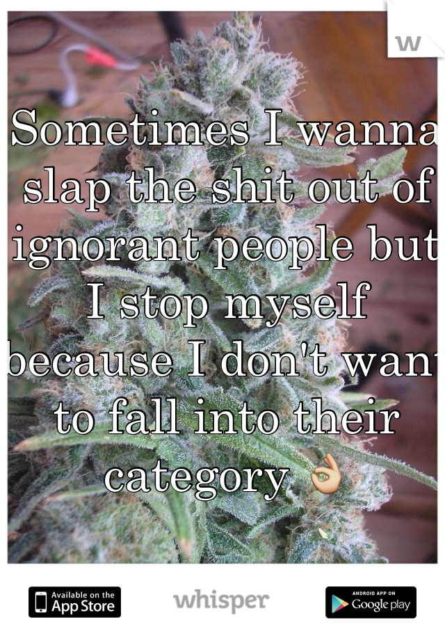 Sometimes I wanna slap the shit out of ignorant people but I stop myself because I don't want to fall into their category 👌