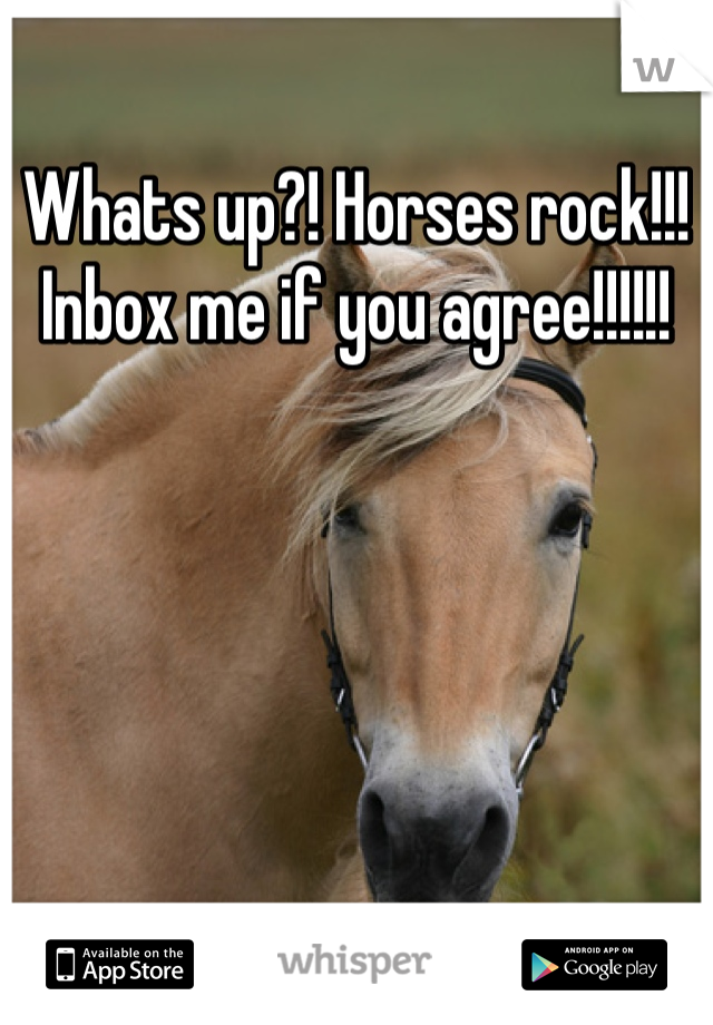 Whats up?! Horses rock!!! Inbox me if you agree!!!!!!
