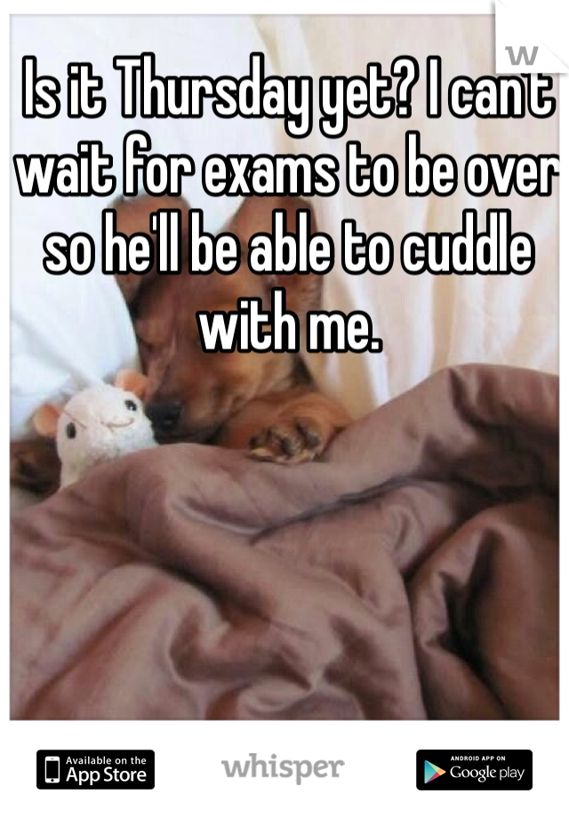 Is it Thursday yet? I can't wait for exams to be over so he'll be able to cuddle with me.