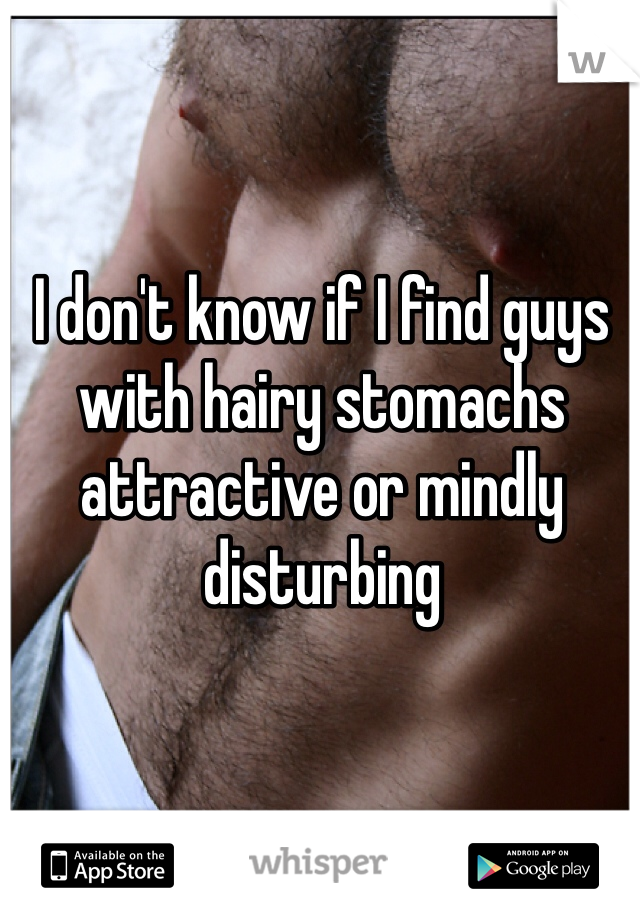 I don't know if I find guys with hairy stomachs attractive or mindly disturbing 