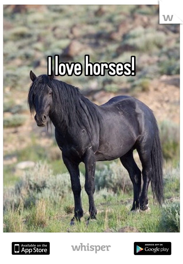 I love horses! 