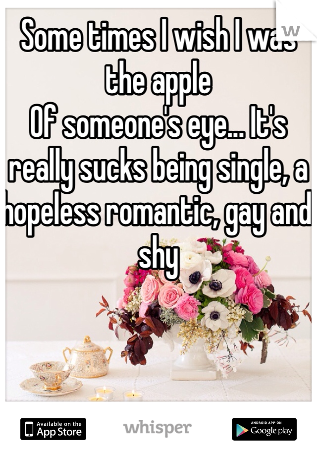 Some times I wish I was the apple
Of someone's eye... It's really sucks being single, a hopeless romantic, gay and shy