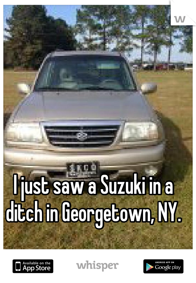 I just saw a Suzuki in a ditch in Georgetown, NY.