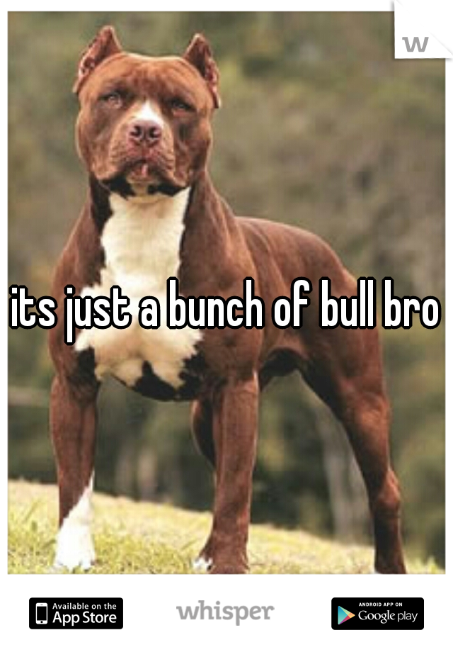 its just a bunch of bull bro