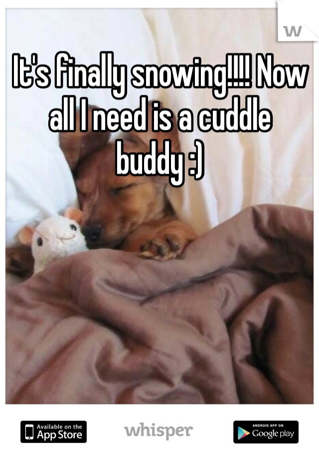 It's finally snowing!!!! Now all I need is a cuddle buddy :)