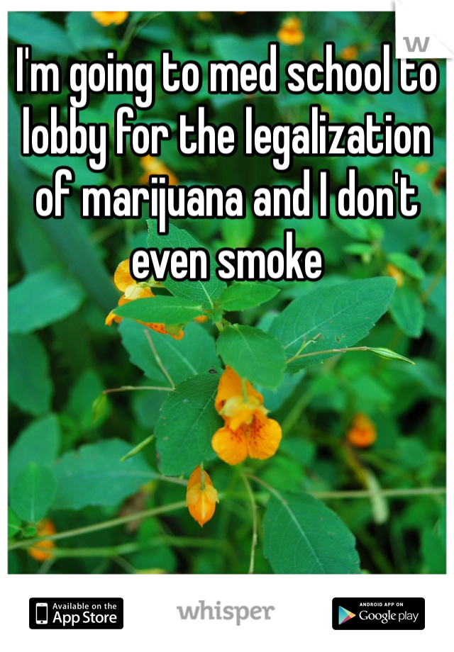 I'm going to med school to lobby for the legalization of marijuana and I don't even smoke