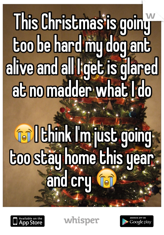 This Christmas is going too be hard my dog ant alive and all I get is glared at no madder what I do 

😭I think I'm just going too stay home this year and cry 😭