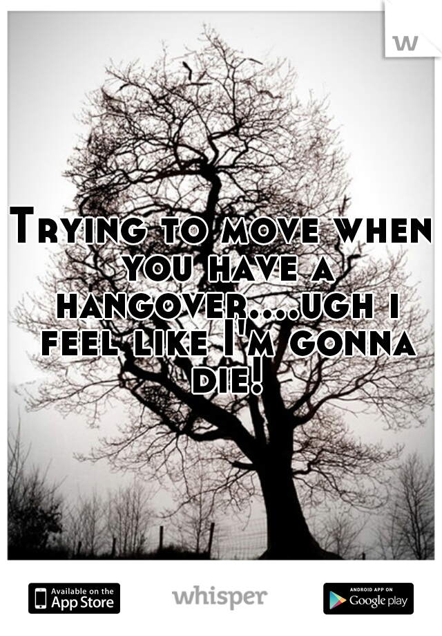 Trying to move when you have a hangover....ugh i feel like I'm gonna die!