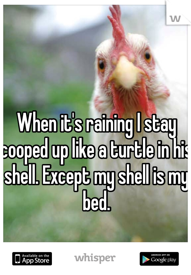 When it's raining I stay cooped up like a turtle in his shell. Except my shell is my bed.