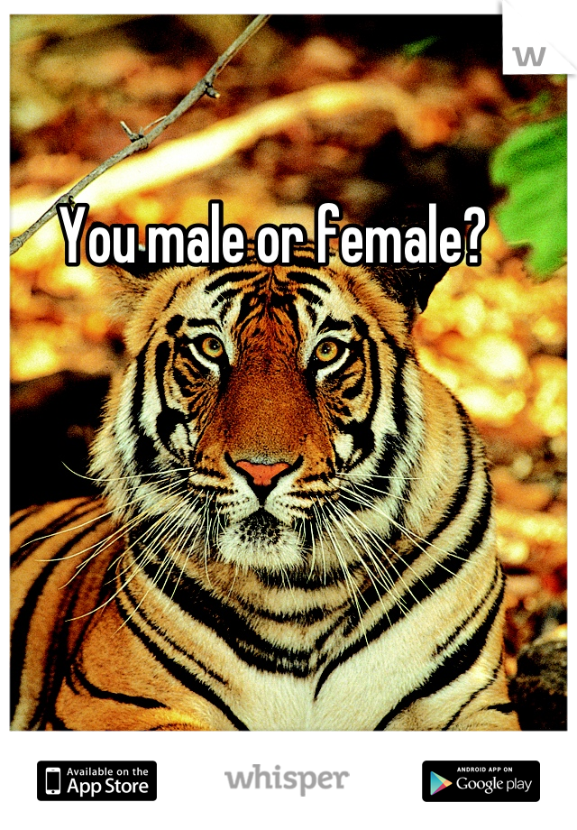 You male or female?