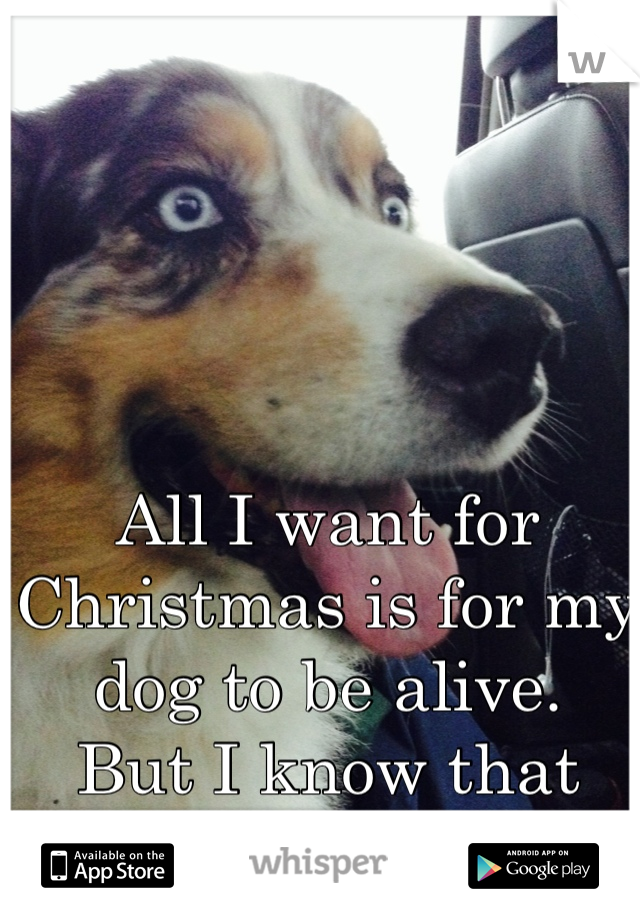 All I want for
Christmas is for my dog to be alive. 
But I know that can't happen