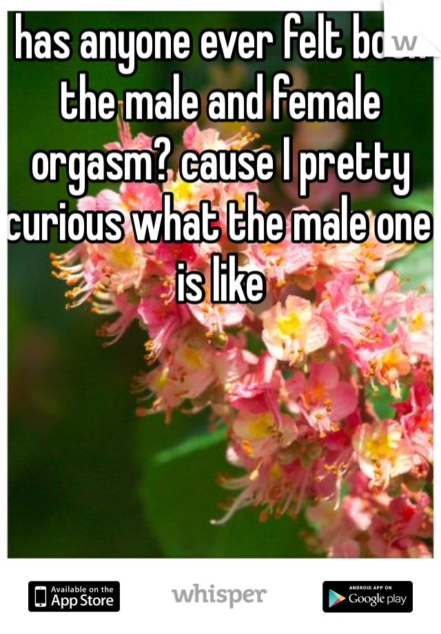 has anyone ever felt both the male and female orgasm? cause I pretty curious what the male one is like 