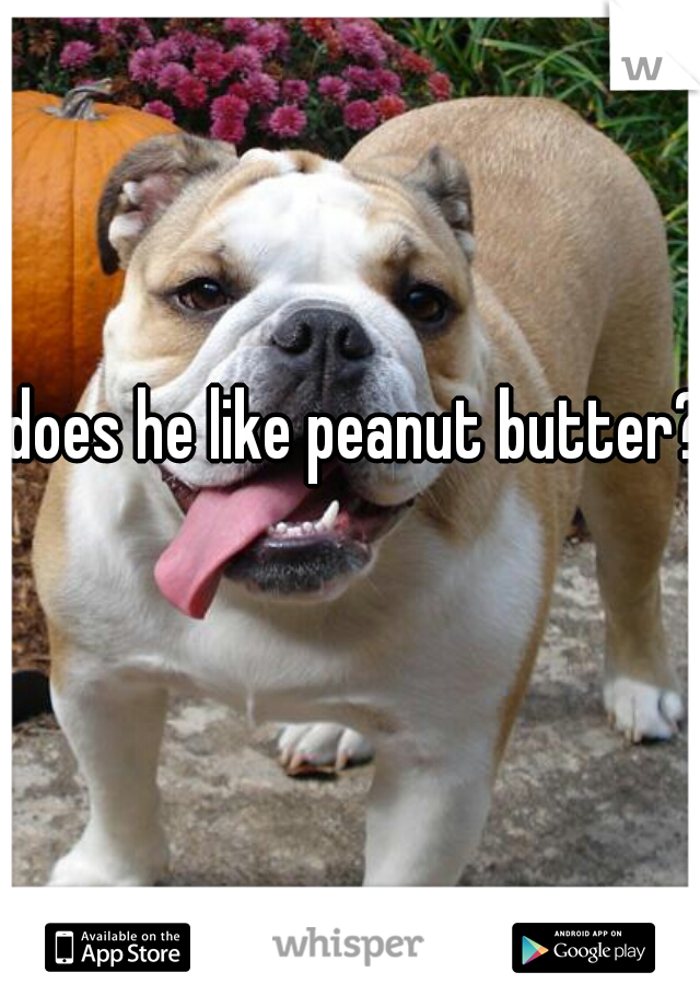 does he like peanut butter?