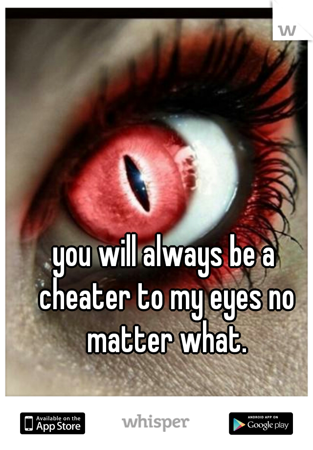 you will always be a cheater to my eyes no matter what.
