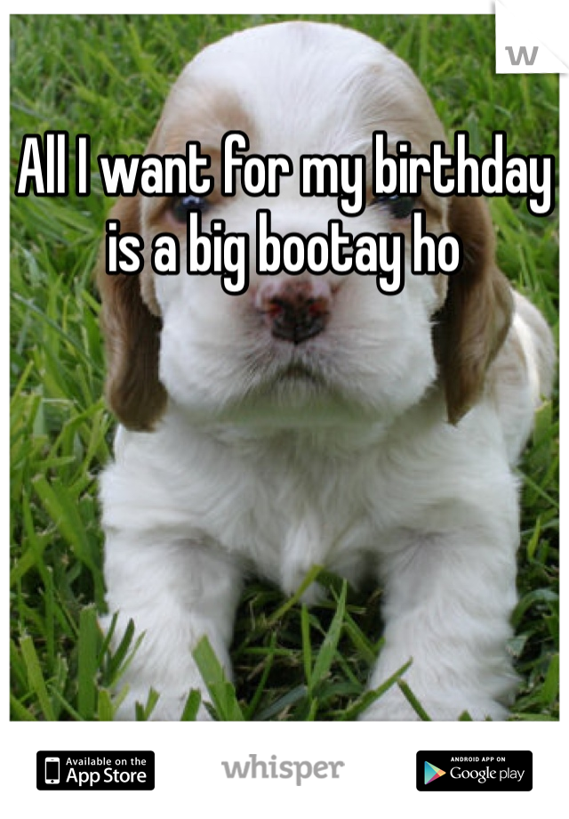 All I want for my birthday is a big bootay ho