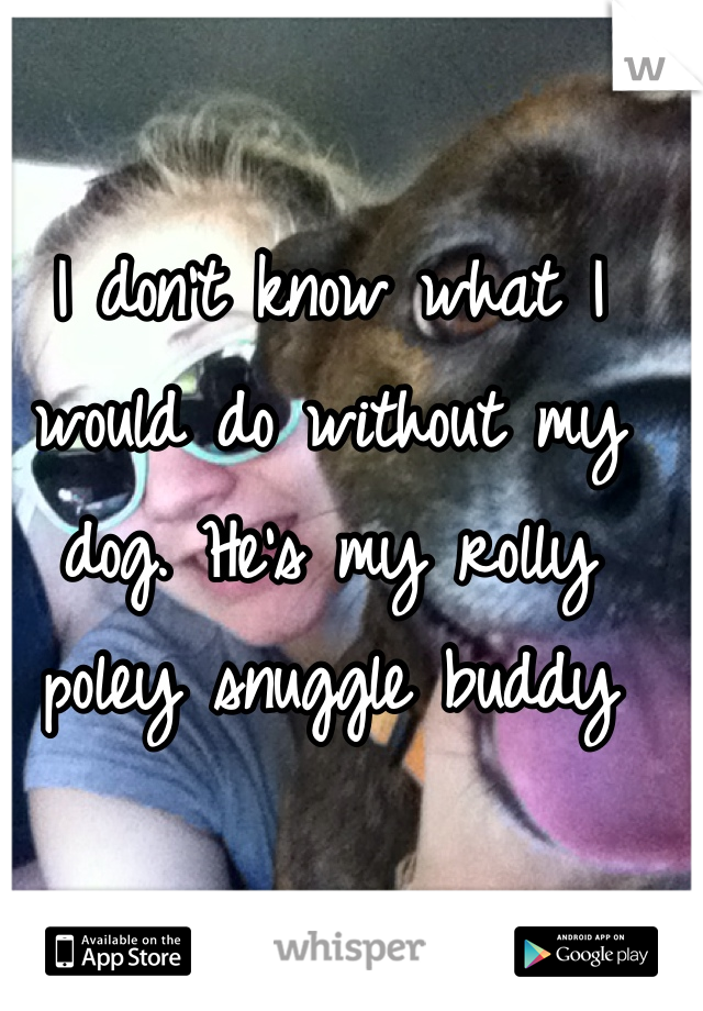 I don't know what I would do without my dog. He's my rolly poley snuggle buddy 