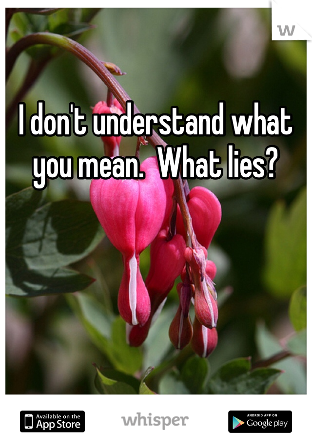 I don't understand what you mean.  What lies?