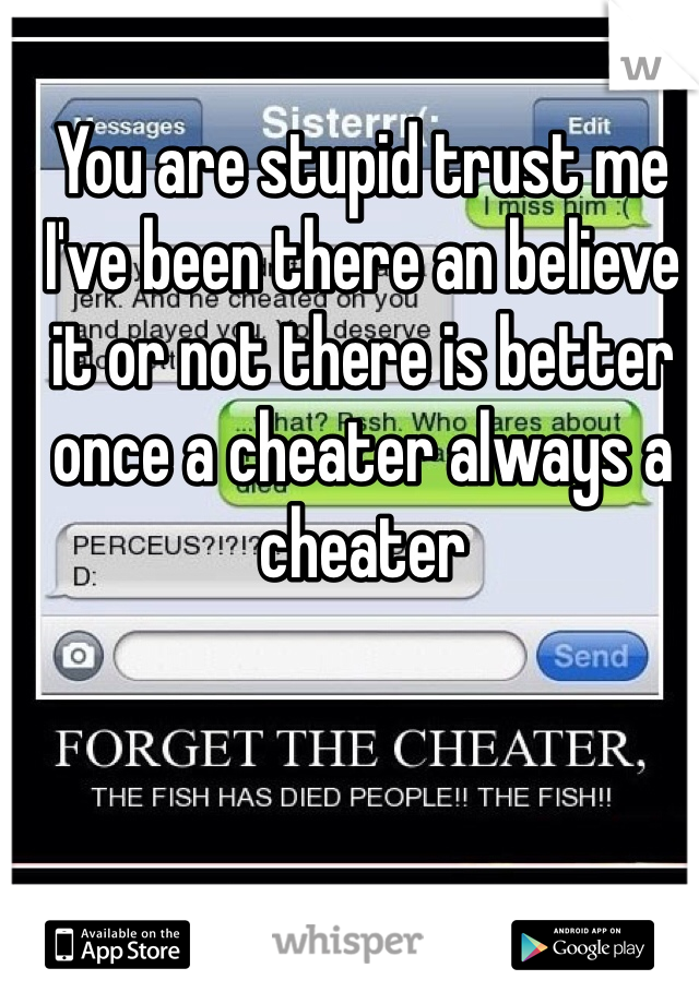 You are stupid trust me I've been there an believe it or not there is better once a cheater always a cheater