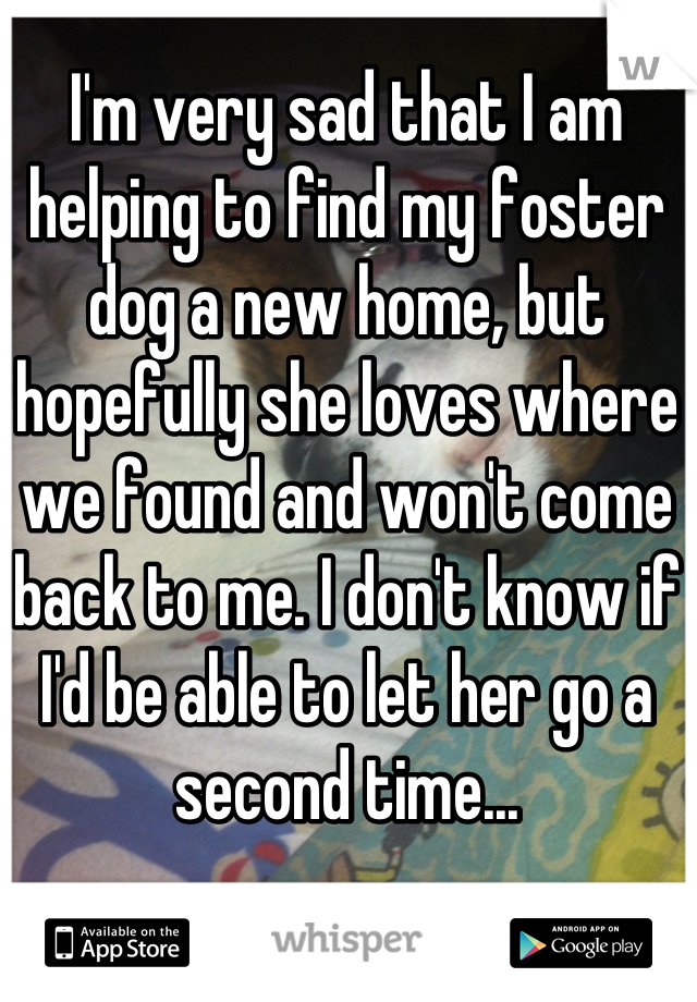 I'm very sad that I am helping to find my foster dog a new home, but hopefully she loves where we found and won't come back to me. I don't know if I'd be able to let her go a second time...