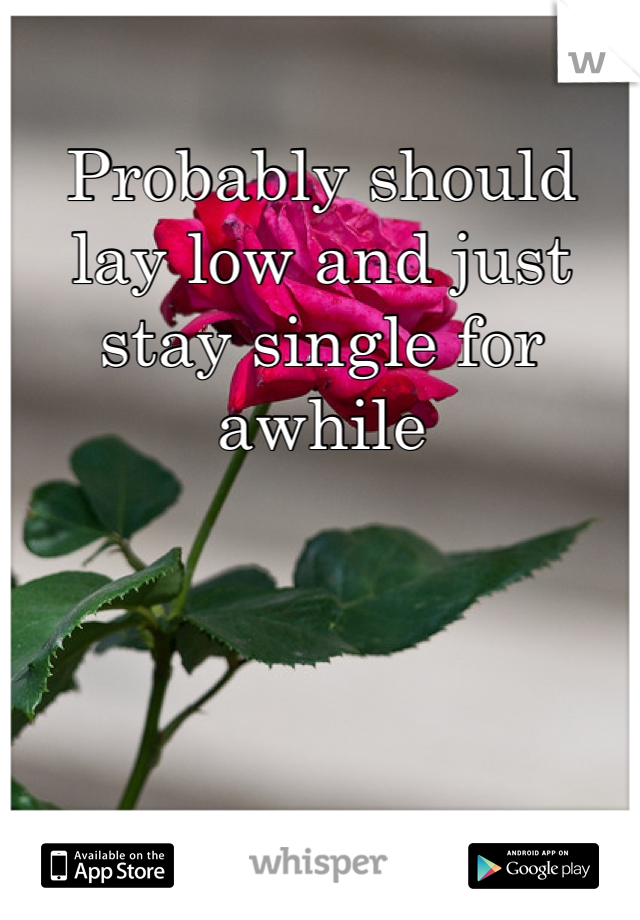 Probably should lay low and just stay single for awhile 