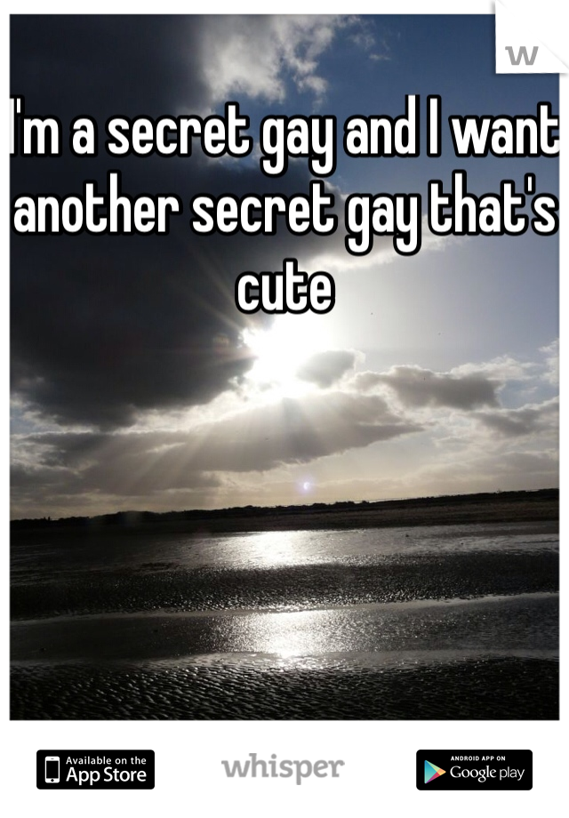I'm a secret gay and I want another secret gay that's cute 