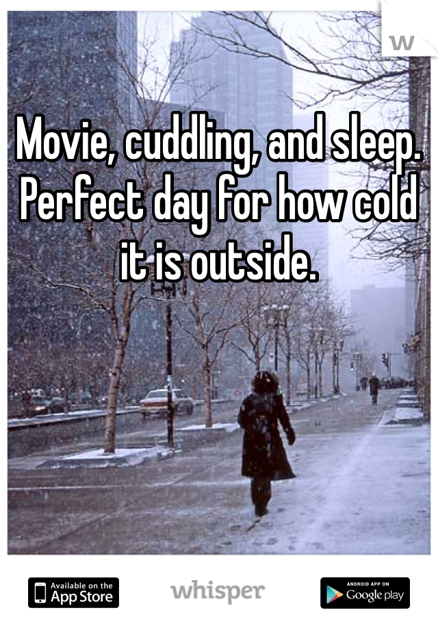 Movie, cuddling, and sleep. Perfect day for how cold it is outside. 