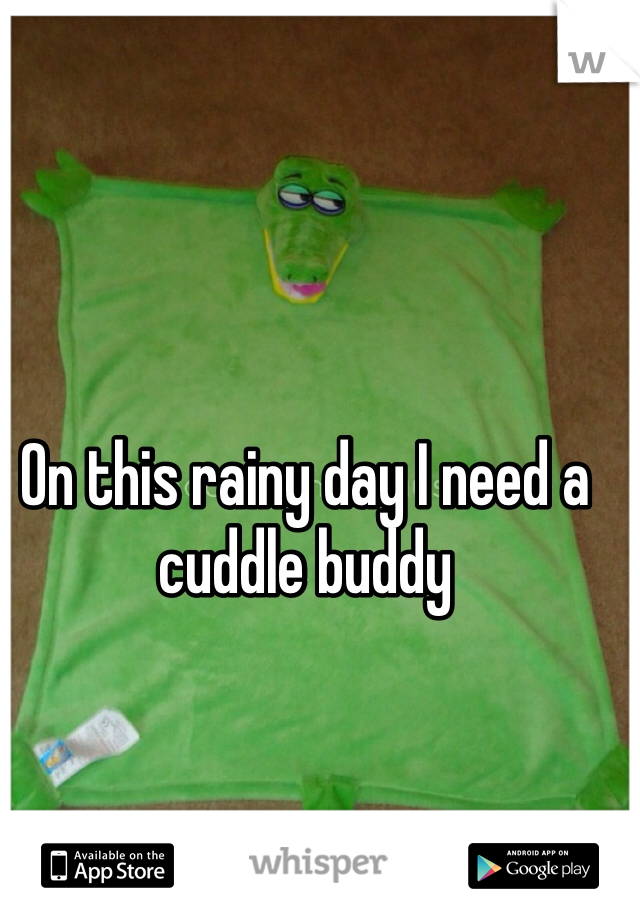 On this rainy day I need a cuddle buddy 