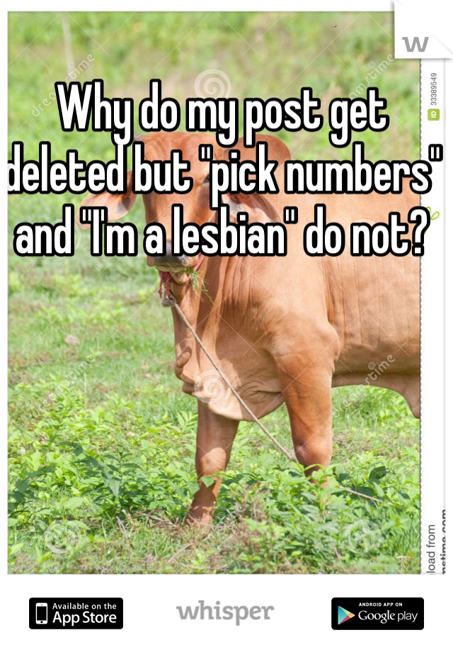 Why do my post get deleted but "pick numbers" and "I'm a lesbian" do not?
