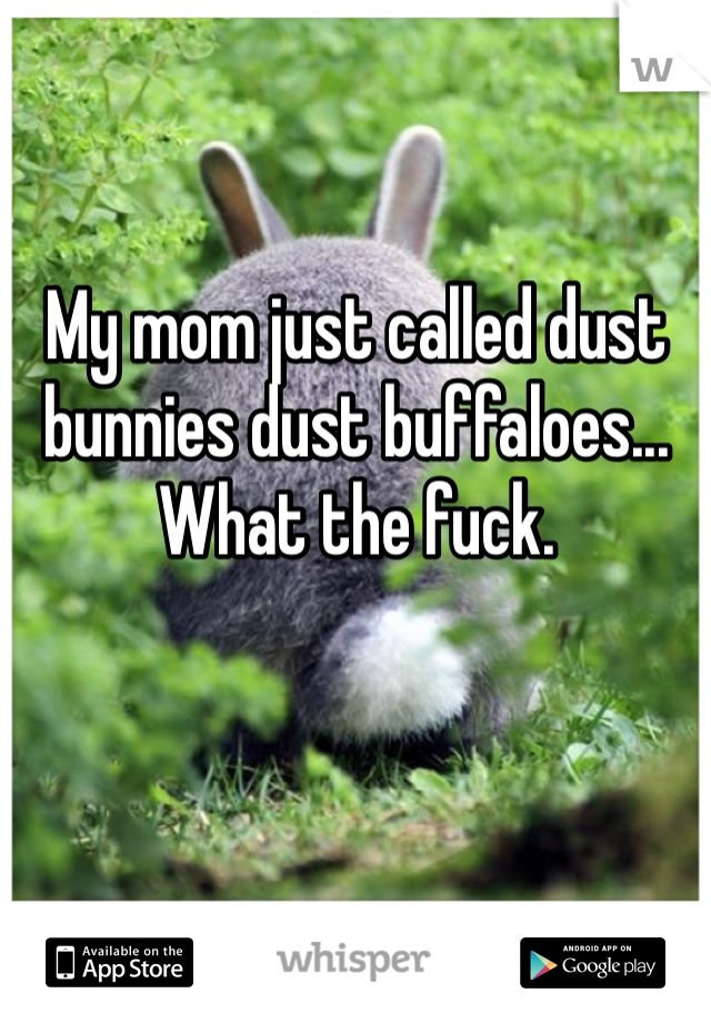 My mom just called dust bunnies dust buffaloes... What the fuck. 