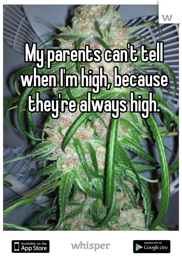 My parents can't tell when I'm high, because they're always high.
