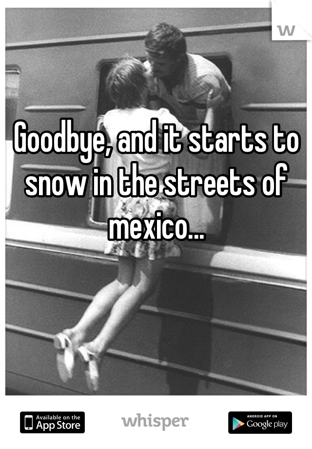 Goodbye, and it starts to snow in the streets of mexico...