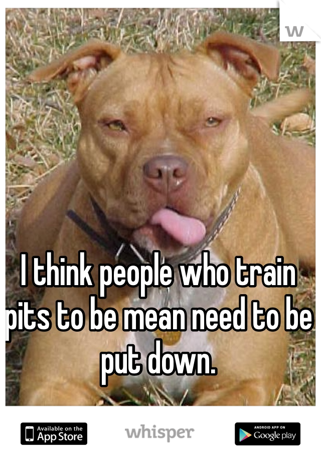 I think people who train pits to be mean need to be put down.